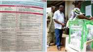 Lagos LG elections to hold July 22, 13 things every resident must know