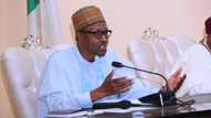 Group to Buhari: Strengthen DIA to win war against insurgency, banditry