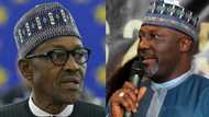 Where is your WAEC result? Nigerians query Buhari over Dino Melaye's certificate controversy