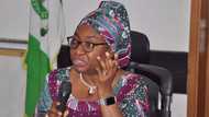 Interior ministry acted without my approval on Maina’s reinstatement - Oyo-Ita declares