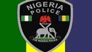 BREAKING: 3 police officers dead as armed men attack Adamawa