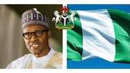 What are the peculiarities of Presidential System of Government in Nigeria?