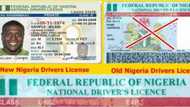 SEE 5 different drivers' licenses that have been used in Nigeria (PHOTOS)