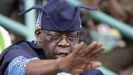 ‘NASS Is For Nigeria, Not Lagos, APC Should Suspend Tinubu’