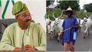 Herdsmen crisis: Do not give FG land for cattle ranching - Ex speaker warns southwest governor