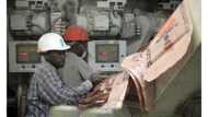 How we were humiliated, victimised by Dangote’s company – Truck officer revealed