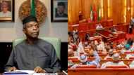Osinbajo to sign Budget 2017 into law - Presidency