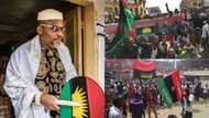 Biafra: Ohaneze disowns Nnamdi Kanu, reveals solution to Nigeria’s problems