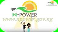FG lists 10 major reasons N-Power volunteers are yet to receive their payments (infograph)