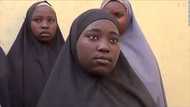 Revealed: Five of the Chibok girls were killed by Nigerian army jets