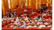 Communities cry out over vacant seats of dead senators, reps