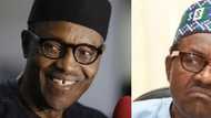 Should Nigerians angelise or demonise President Buhari?
