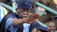 2023: Daniel Bwala says Bola Tinubu may be disqualified from presidential race