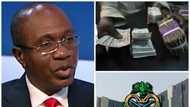 Naira records biggest fall to US dollar at official market despite Nigeria's massive foreign reserves rise