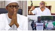 Buhari should return if he is well as his supporters claim - Fayose mocks president as he expresses outrage against attack on Charly Boy