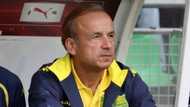 Gernot Rohr reveals the 2 teams he is scared of in Nigeria's group for Russia 2018 World Cup