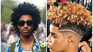 Top 50 afro hairstyles for men