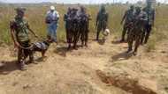 An gano gawar mutane 180 a wani kabari a kauyen Djibo