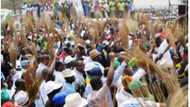 Crisis in Lagos APC as ex-LGA chairman is allegedly arrested, detained following violence during Congress