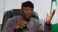 Kayode Fayemi promises to rescue Ekiti state if elected governor