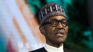 Buhari nominated as member of regional advisory board on small arms proliferation