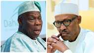 Wasikar Obasanjo zai taimakawa Buhari wajen samun nasara a zaben 2019