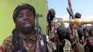 UPDATED: Many feared killed as fresh Boko Haram hit 2 Adamawa communities