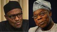 Obasanjo is a mere mortal - UK-based analyst writes on former president's letter to Buhari