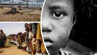 Consequences of overpopulation in Nigeria