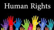 Agencies responsible for the protection of human rights: Full list