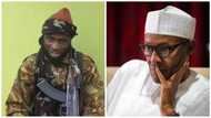 YANZU YANZU: Daga karshe gwamnatin tarayya ta amince da cewan shugaban Boko Haram Shekau na raye