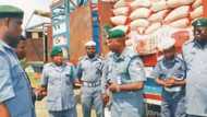 Customs moves against smugglers, confiscates 1,825 bags of foreign rice in Katsina state