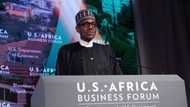 Buhari approves new Constitution to improve business in Nigeria in 4 steps