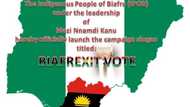 MEND is now a media and publicity arm of DSS - IPOB