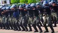 House of Reps begin process of establishing State Police as bill passes first reading