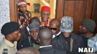 Fani-Kayode speaks on 2019, says APC won't give up power easily
