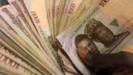 Wata mata ta damfari dan majalisar wakilai N15m