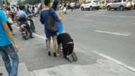 Shocking! Man turns into a dog on the street (photos)