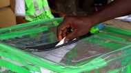 Breaking: Police nab 2 people with 17 sacks reportedly containing thumb-printed ballots in Kano (photo)