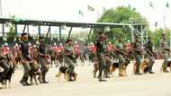 Police deploy 30,000 personnel, 2 helicopters, others ahead of Ekiti state election