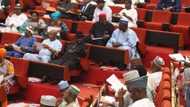 Senate summons 2 Buhari’s ministers over alleged lack of funding for 2017 budget