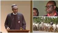Tashin hankali: An kashe Fulani Makiyayi a jihar Ekiti