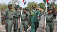 Want to become a soldier? Learn the ranks in the Nigerian army