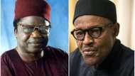 Buhari’s right hand man reveals the set of Nigerians who do not see anything good about his government
