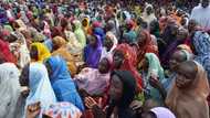 5 killed, 39 wounded as female Boko Haram bomber attacks Borno IDP camp