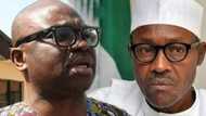 Fayose Asks Buhari To Sack New INEC Boss