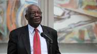 73-year old Nigerian professor bags new United Nations appointment