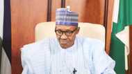 President Buhari mourns APC stalwart