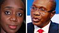 Budget saga: Reps summon Adeosun, Emefiele