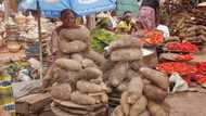 It is more expensive to buy food in Kogi, Jigawa than Lagos as food prices increase again in October